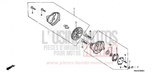 POMPE A HUILE XR100R1 de 2001